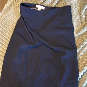 Elegant Navy Blue Women's Skirt